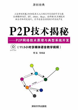 P2P技術揭秘 網絡技術原理、系統開發與生態應用百科